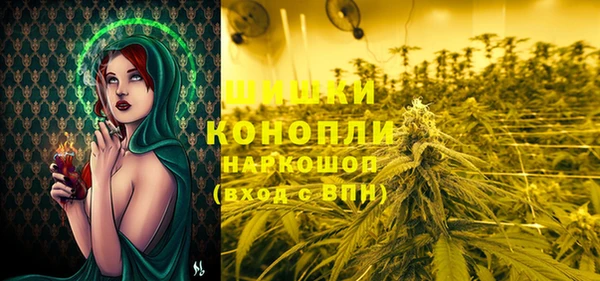 спайс Богданович