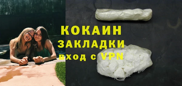 спайс Богданович