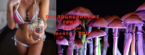 МДПВ Богородицк