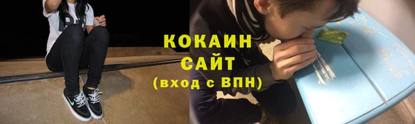 спайс Богданович